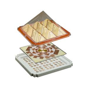 Jiten Fortune ProMax ( 2G)