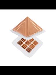Jiten V. Pro Copper ( Vehicle Protection)