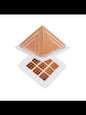 Jiten V. Pro Copper ( Vehicle Protection)